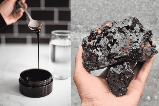 Shilajit VS Salajeet