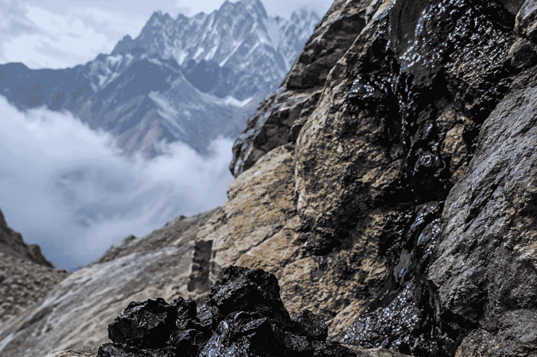 Raw Himalayan Shilajit