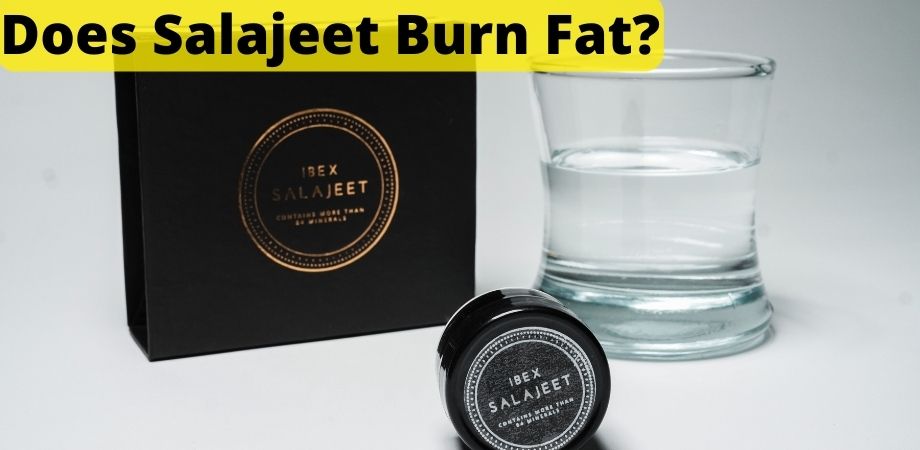 Does Salajeet Burn Fat