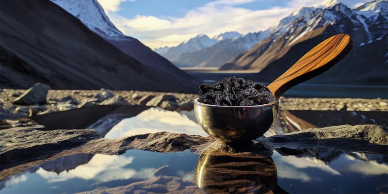 Himalaya Shilajit