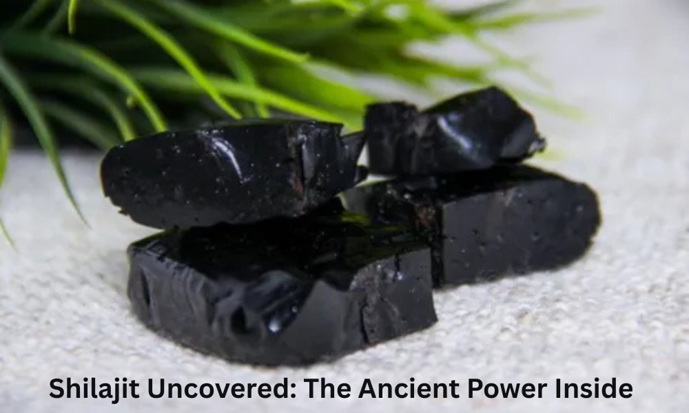Top 5 Shilajit Benefits for Power & Immunity