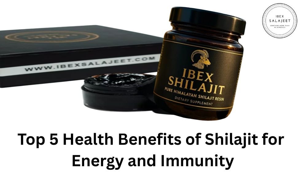 Health Benefits of Shilajit